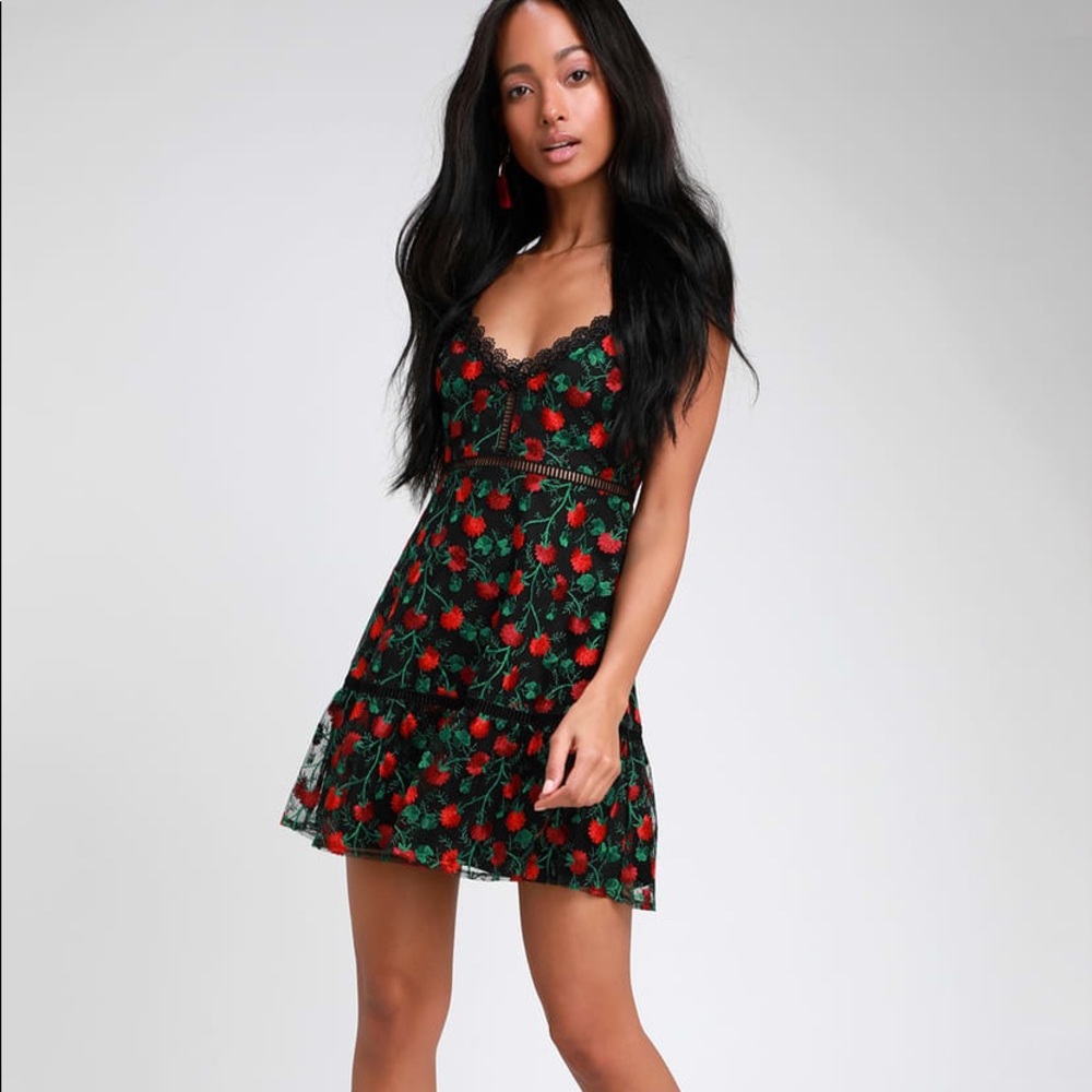 BB Dakota Black Floral Embroidered Skater Dress